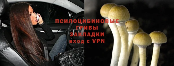 молекула духа Михайловка