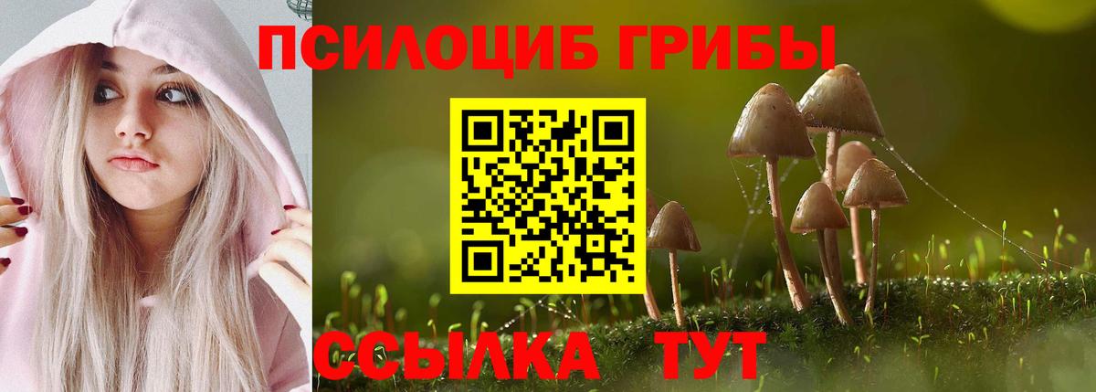 Псилоцибиновые грибы GOLDEN TEACHER Нальчик