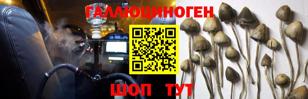 Галлюциногенные грибы мухоморы  Вход с VPN  Галлюциногенные грибы ЛСД  Нальчик 
